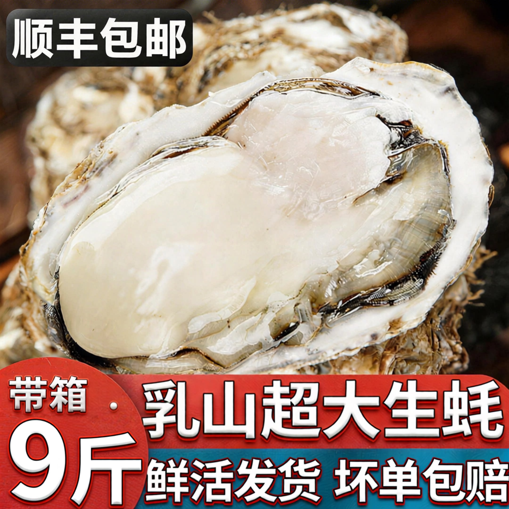 【顺丰到家】乳山生蚝鲜活特大牡生蚝
