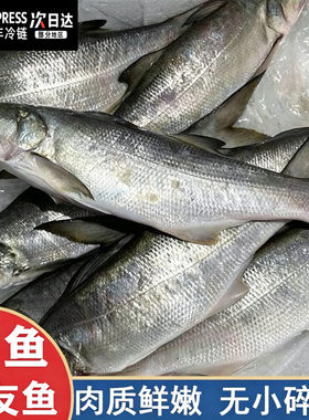 【顺丰到家】大午鱼马友鱼新鲜冷冻海产品深海午笋鱼大午鱼午仔鱼