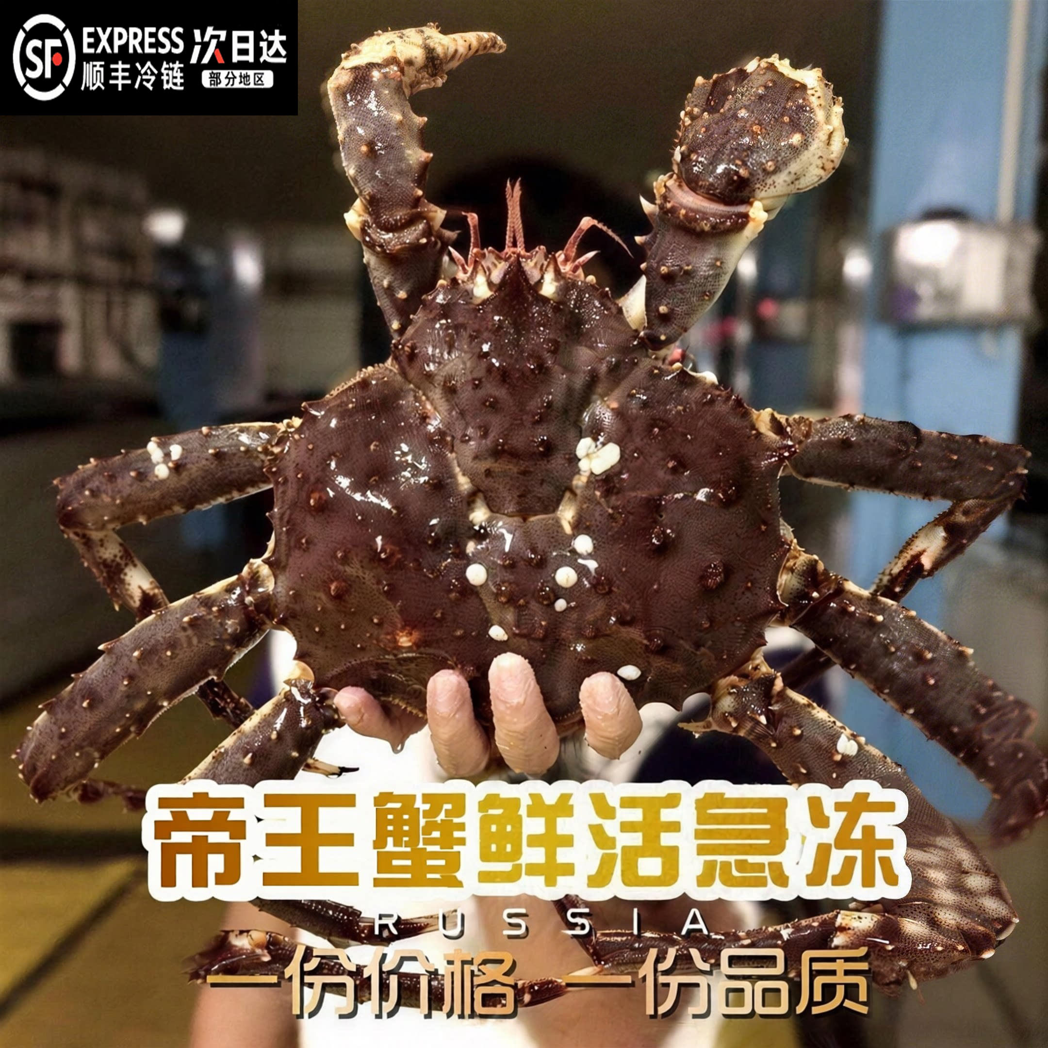 【顺丰到家】海捕帝王蟹海鲜冷冻特大螃蟹新鲜冷冻深海活冻大螃蟹图片