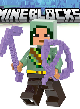 我的世界周边儿童模型拼装积木人仔玩具G0102下界骑士战士21246