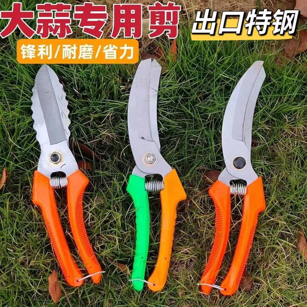 农用大蒜圆葱专用剪刀干湿蒜杆蒜胡蒜须工具大蒜剪蒜头神器剪蒜剪