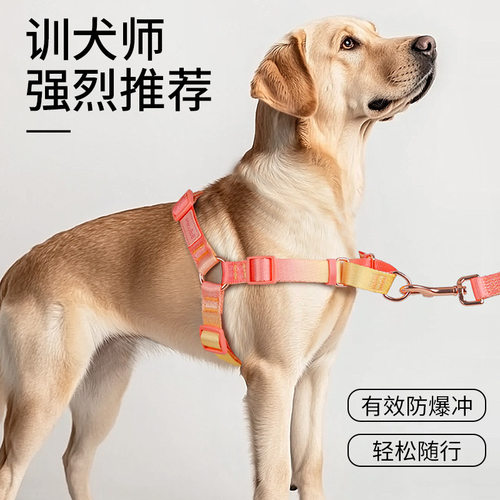 Easywalk前牵引防爆冲狗狗胸背带渐变牵引绳中大型犬随行训练狗绳