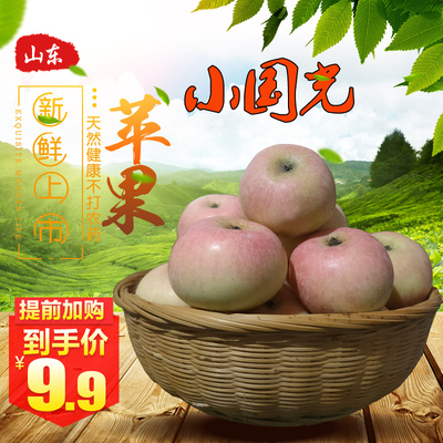 山东苹果五莲小国光山岭苹果酸甜脆口皮薄老品种套袋无农药