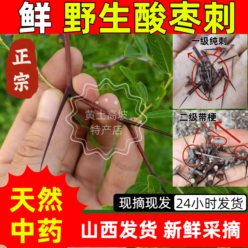 野生现摘酸枣刺新鲜酸枣刺药用酸枣刺酸枣树刺酸枣树针包邮