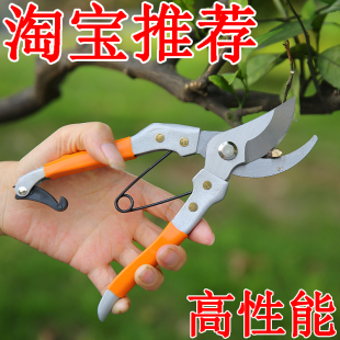 进口花剪修枝剪树枝剪刀园艺粗枝剪园林剪果树剪五金工具修剪神器