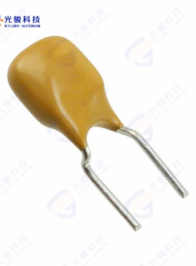 250R120-R2ZR《PTC RESET FUSE 60V 120MA RADIAL》