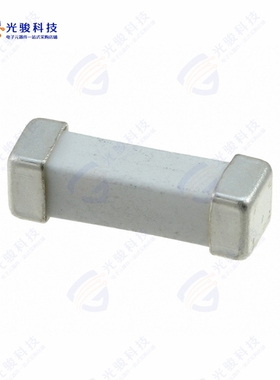 0463025.ER《FUSE BRDMT 25A 250VAC/100VDC SMD》