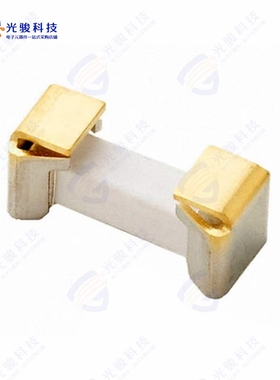 0160001.MR《FUSE BOARD MOUNT 1A 250VAC 2SMD》