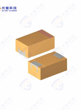 PCT47/10DK《CAP TANT 47UF 10% 10V 2917》