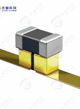 P21BNL300MA3976T《CAP ARRAY 30PF 10000PF 10V X5R》