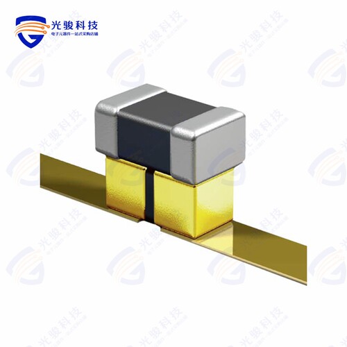 P21BNL300MA3976T《CAP ARRAY 30PF 10000PF 10V X5R》