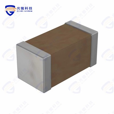 ES2211N330K502NTM《CAP CER 33PF 250VAC C0G/NP0 2211》