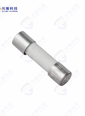 430500000《FUSE 5X20MM .25A 250VAC FST》