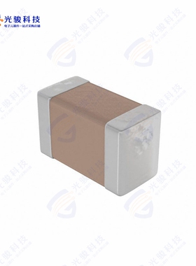 500R07N101JV4T《CAP CER 100PF 50V C0G/NP0 0402》