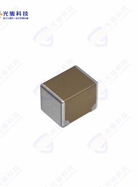 CNA6P1X7R2A475K250AE《CAP CER 4.7UF 100V X7R 1210》