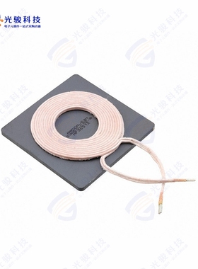 AWCCA-53N53H50-C02-B《RX TX 1 COIL 1 LAYER 6.3UH 11A》