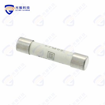8020.502《FUSE CARTRIDGE CERAMIC 8A 500V》