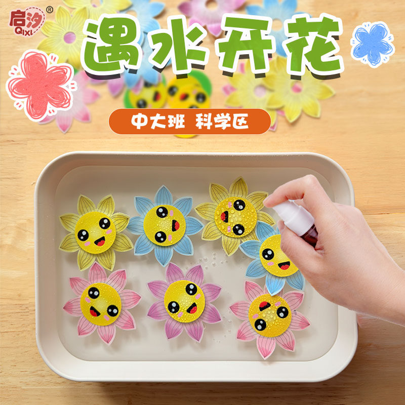 小中大班科学区遇水开花实验图片