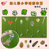 幼儿园环创装 饰大班植物主题墙面科学区布置种子区域区角材料中班
