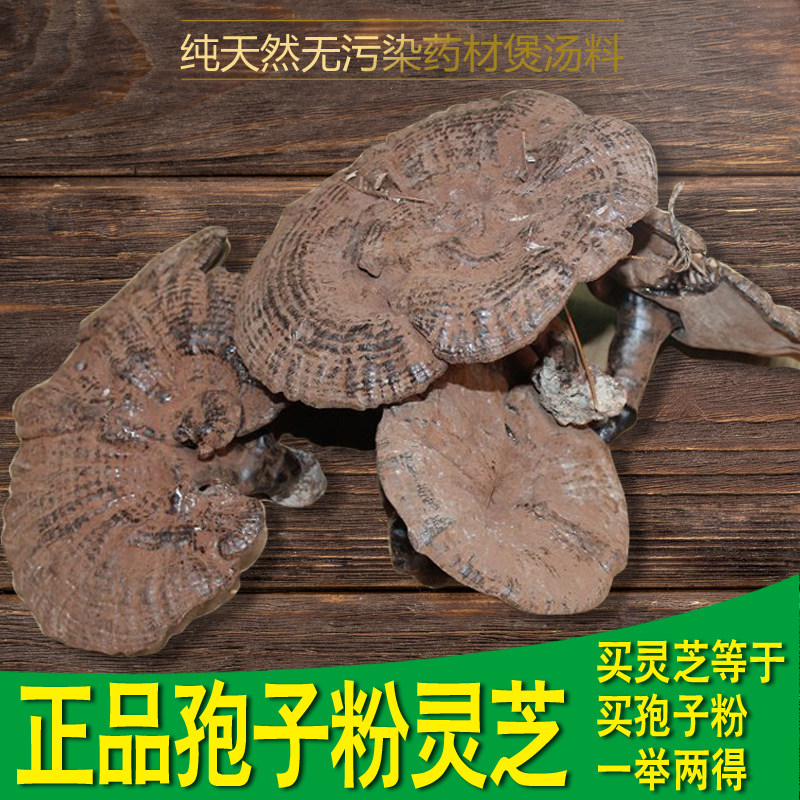 新货孢子粉灵芝 半野生河源灵芝种植灵芝黑芝整枝紫灵芝林芝500克