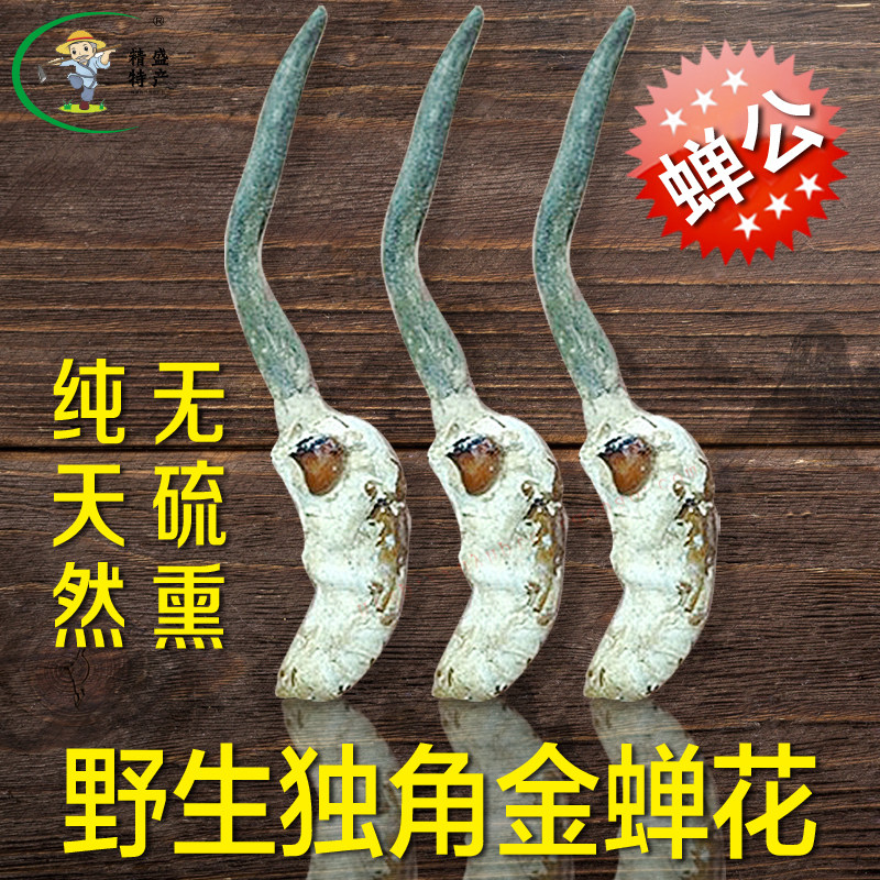 精选野生公蝉花独角金蝉花正宗蝉公蝉蛹草饱满带花虫花500克包邮