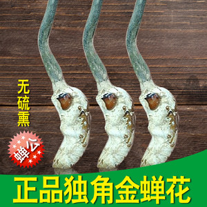 【野生金蝉花图片】近期257组野生金蝉花