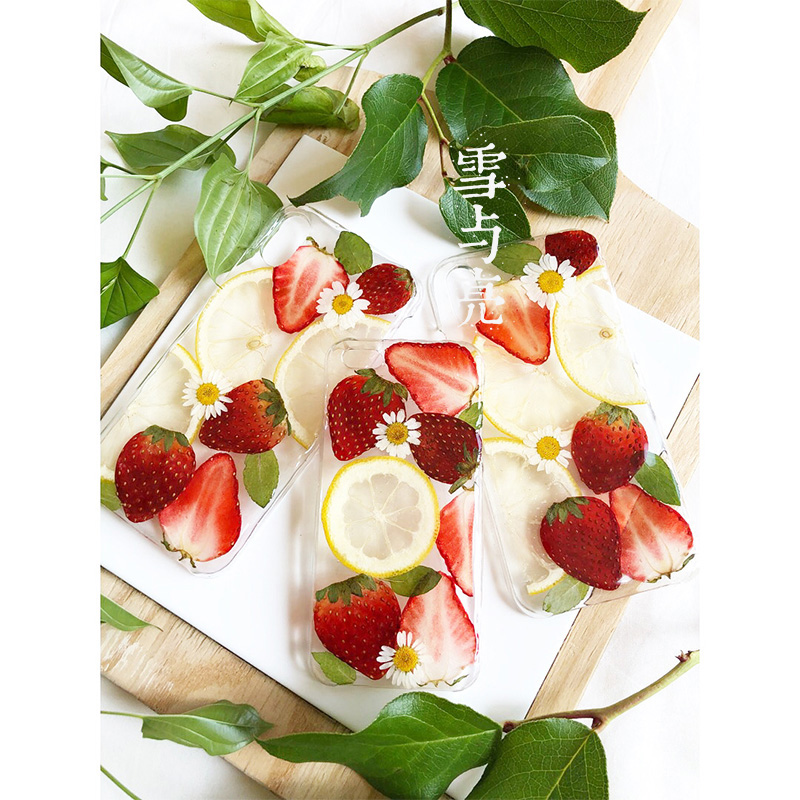 日系清新真花柠檬草莓标本