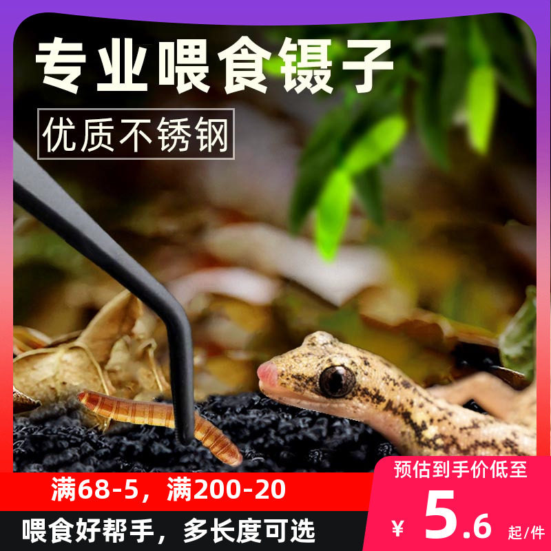 乌龟爬宠守宫角蛙龙鱼喂食镊子宠物仓鼠喂食夹子加长不锈钢喂食器,居家布艺,镊子,淘宝优惠券,粉丝福利购,淘宝优惠卷