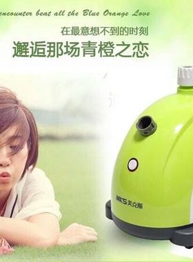 NV309 蒸汽挂烫机 蒸汽熨斗 家用挂式熨斗 草绿色买一送一便携式