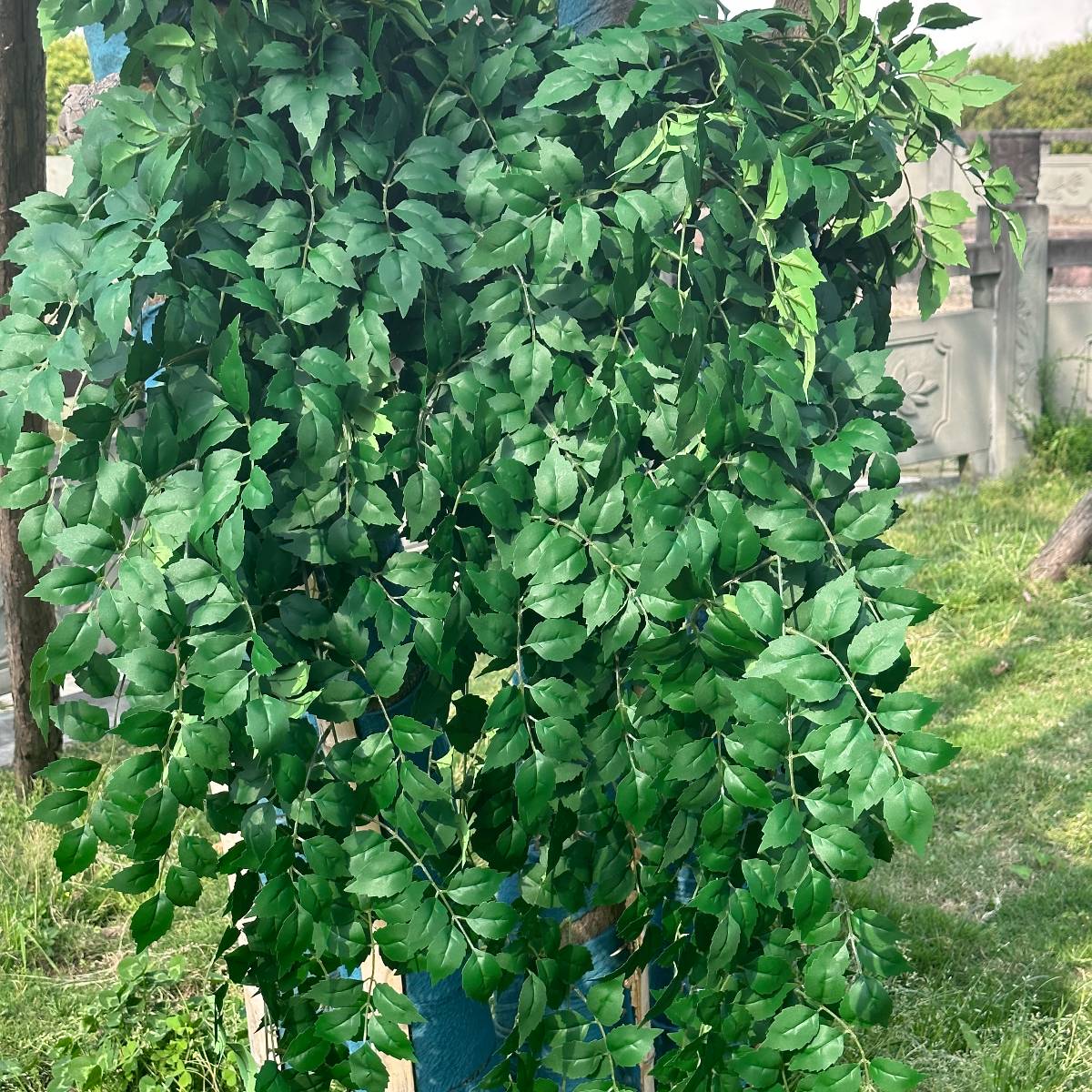 高档仿真大型葡萄叶藤条植物水管仿真绿植