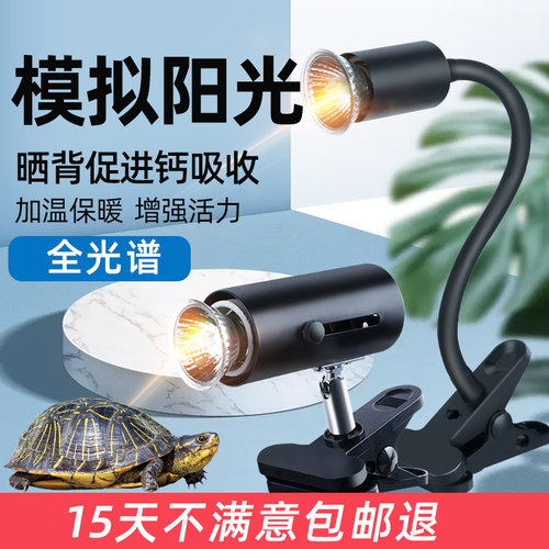 乌龟爬宠晒背灯补钙不烂甲全光谱