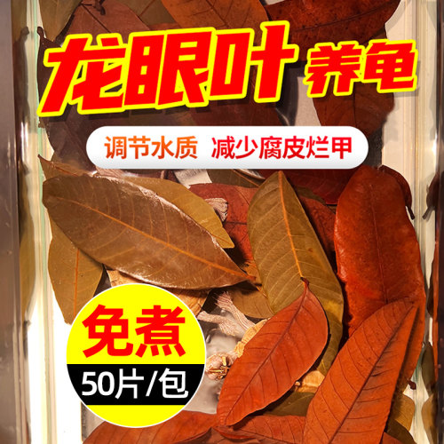 龙眼叶养龟免煮乌龟腐皮烂甲躲避龟用叶子龟缸桂圆叶改善水质造景