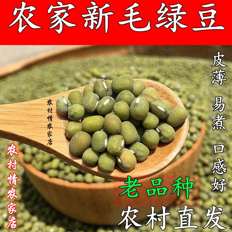 农家自产今年新毛绿豆500克绿豆