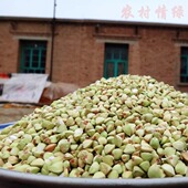 农村情2025年农家新荞麦米荞麦仁三角麦荞麦 杂粮 粗粮