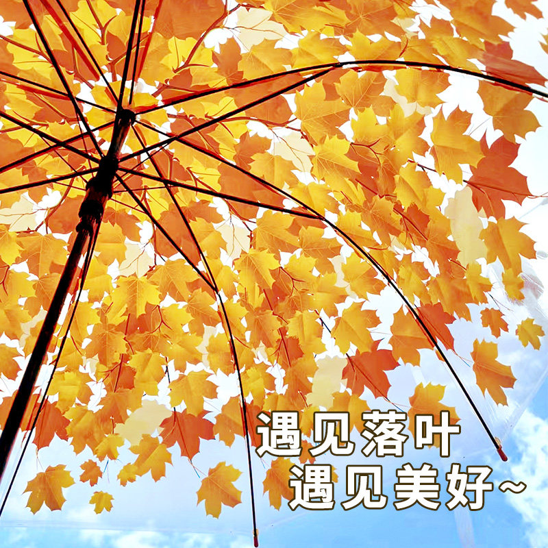高颜值枫叶雨伞拍照伞公主儿童伞网红长柄透明雨伞大号树叶雨伞