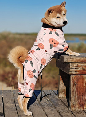 大狗秋季中型犬金毛拉布拉多萨摩耶四脚衣秋田柴犬宠物防掉毛冬装