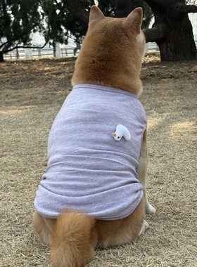 春款金毛边牧拉布拉多大狗透气韩版卡通狗狗背心中型犬宠物狗衣服