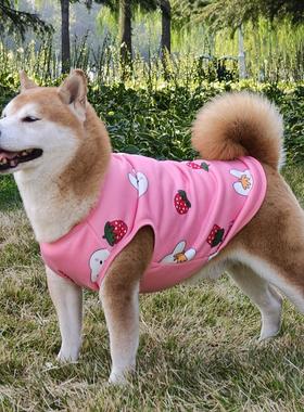 宠物狗狗衣服中大型金毛秋冬季拉布拉多萨摩边牧柴犬保暖加绒背心