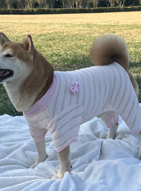 狗狗衣服四脚衣春秋柴犬萨摩金毛拉布拉多中大型犬宠物小香风卫衣
