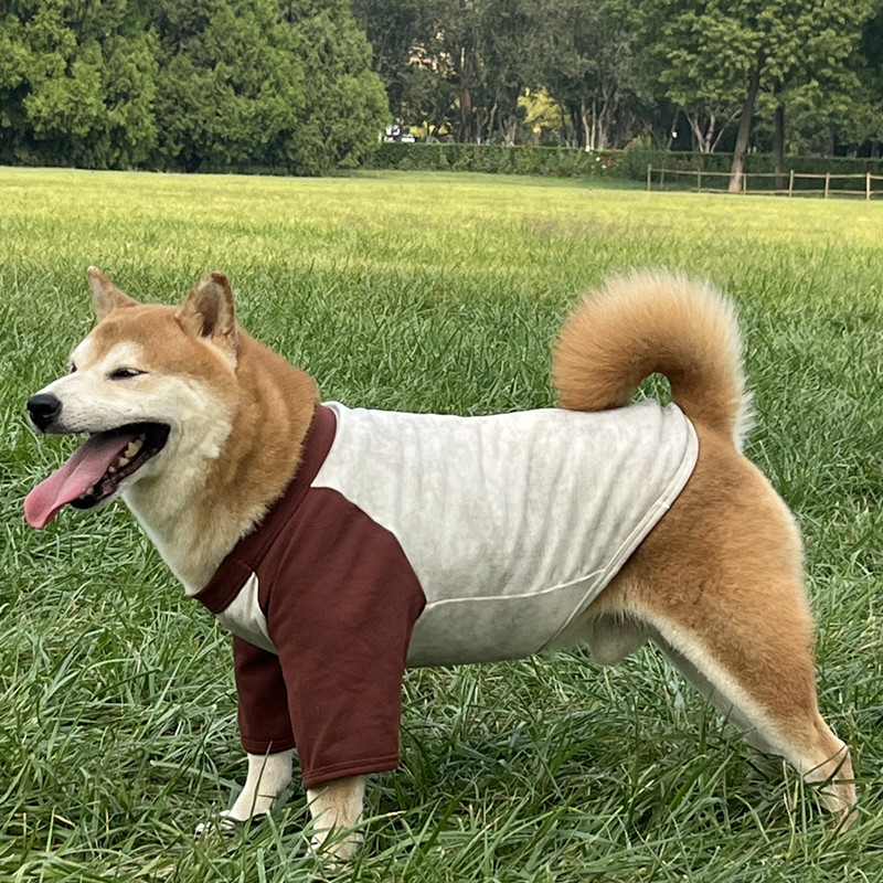 中大型犬秋田大狗衣服保暖二脚插肩袖宠物衣服夏款金毛柴犬秋冬装