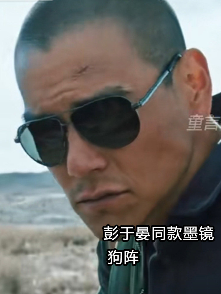 狗阵彭于晏同款墨镜偏光太阳镜