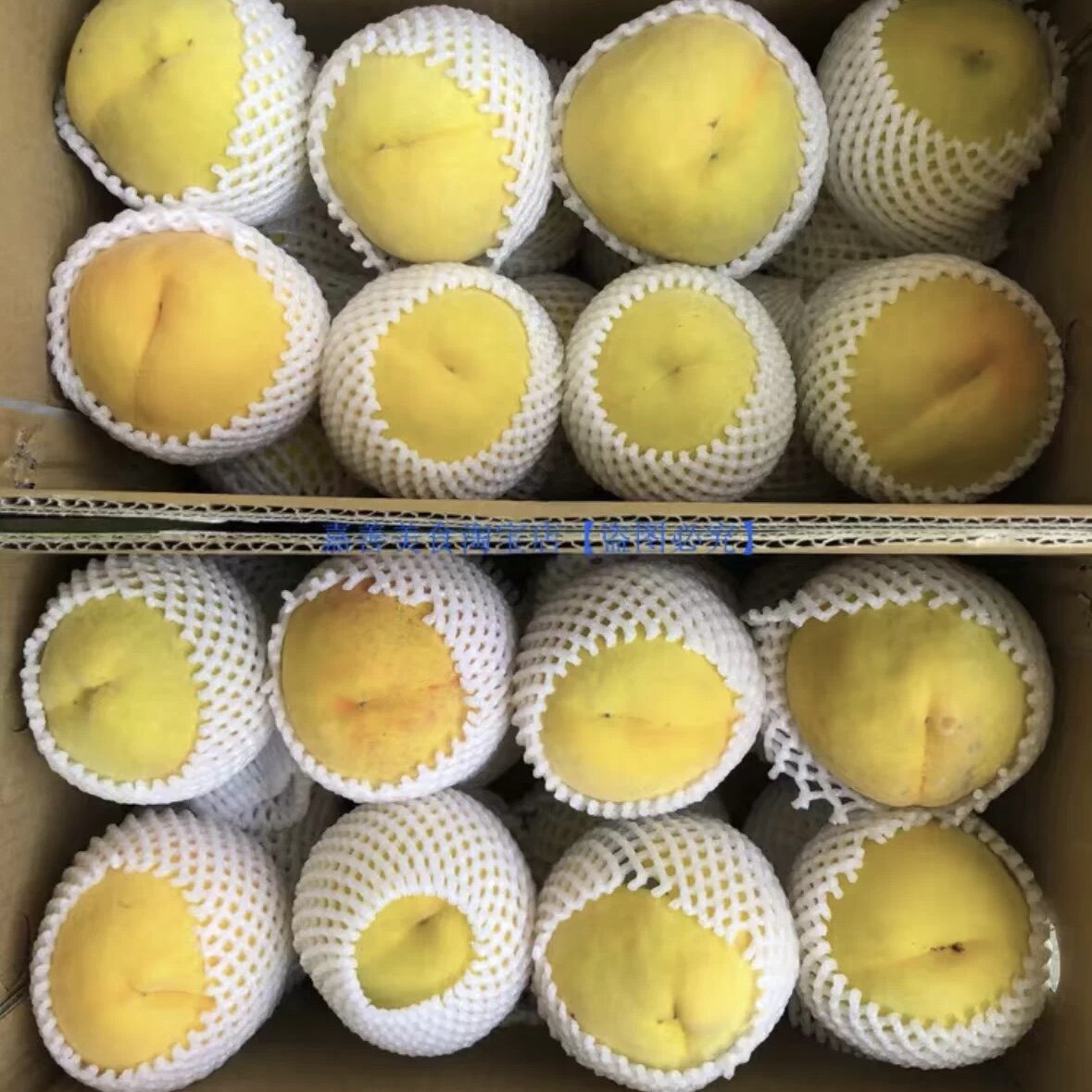 黄桃新鲜水果嘉善正宗锦绣桃子夏天特产果园当天采摘 特级10斤
