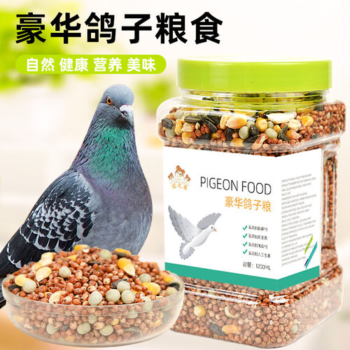 鸽子粮食饲料信鸽赛鸽种鸽专用营养粮食粮玉米鸟食鸽子用品粮食