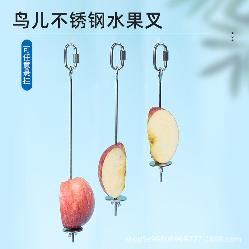 鹦鹉不锈钢水果叉玉米苹果叉宠物鸟禽喂食器/喂水器