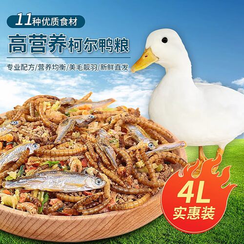 柯尔鸭专用饲养粮食营养均衡宠物鸭子饲料芦丁鸡小鹅零食生活用品