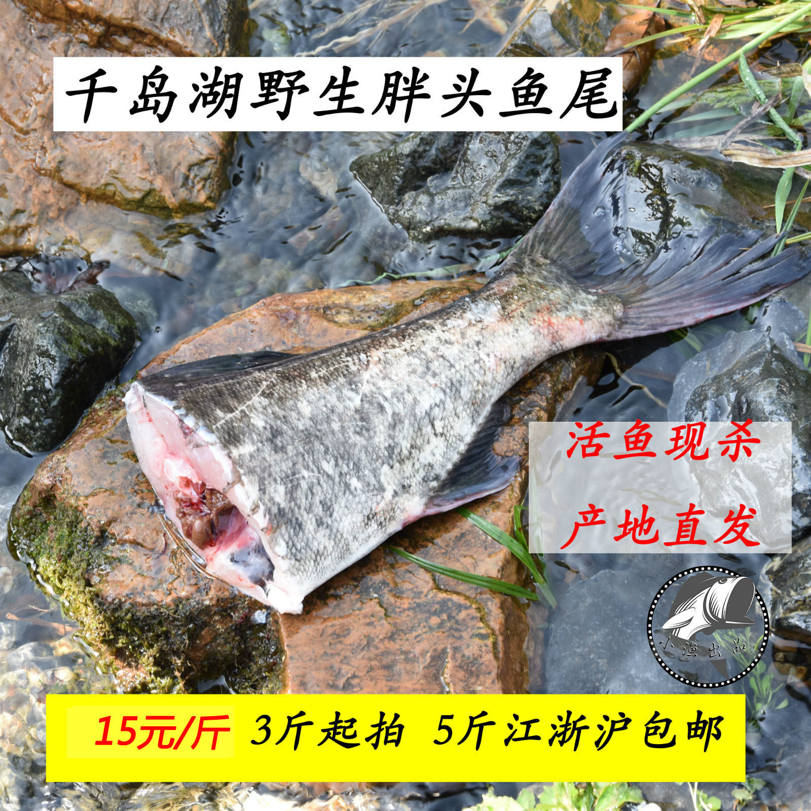 千岛湖有机野生鲜活胖头鱼