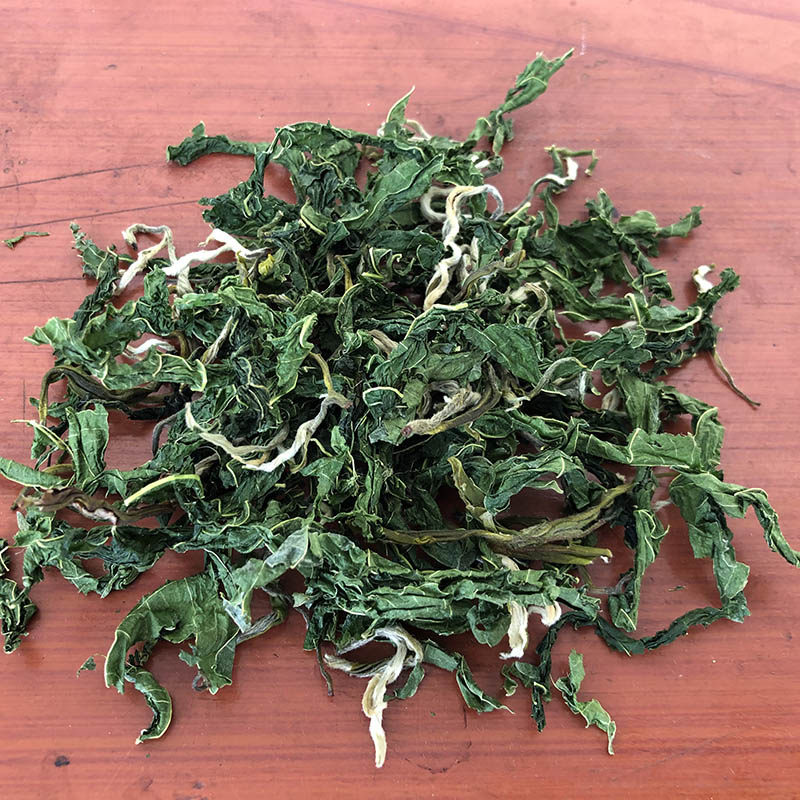 美藤果茶叶星油藤叶印奇果叶花生叶子新鲜采摘当季采摘大量出售