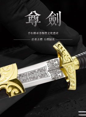 龙泉市古风短剑小汉剑锰钢刀剑道具宝剑防身冷兵器摆件收藏未开刃
