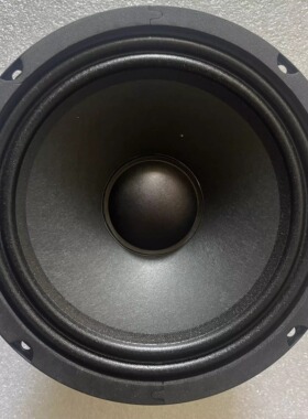 美国6.5寸全频喇叭羊毛纸盆钕磁hifi发烧户外弹唱扬声器甜美均衡