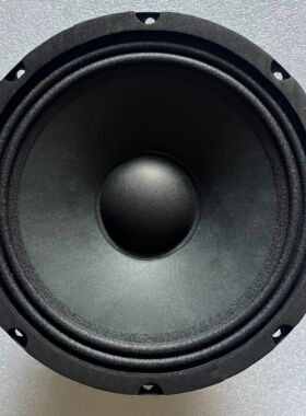 8寸低音喇叭户外弹唱钕磁中低音管弦乐便携扬声器0.94KG户外便携